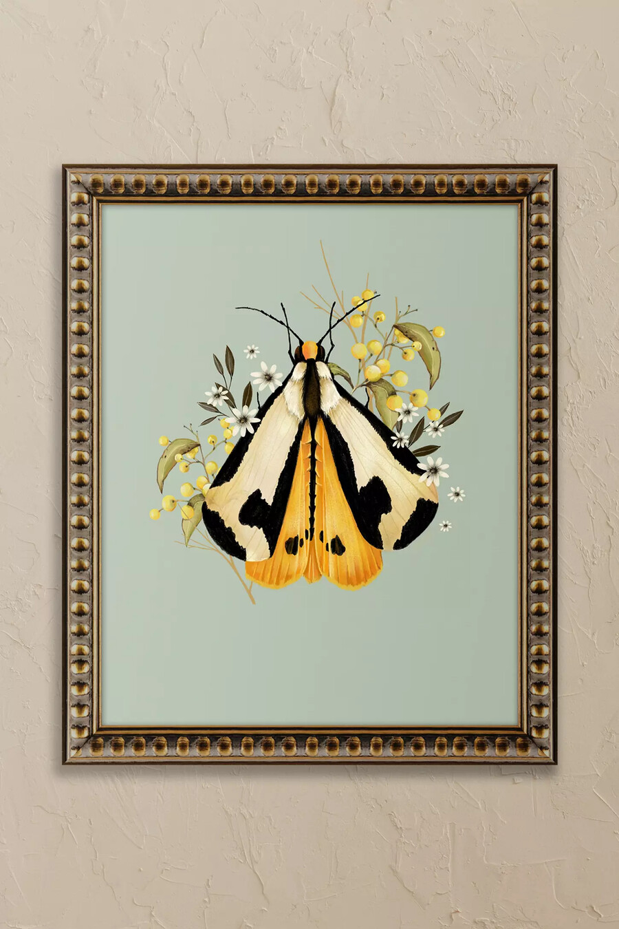 polilla y bayas de nicola evans arte de pared enmarcado