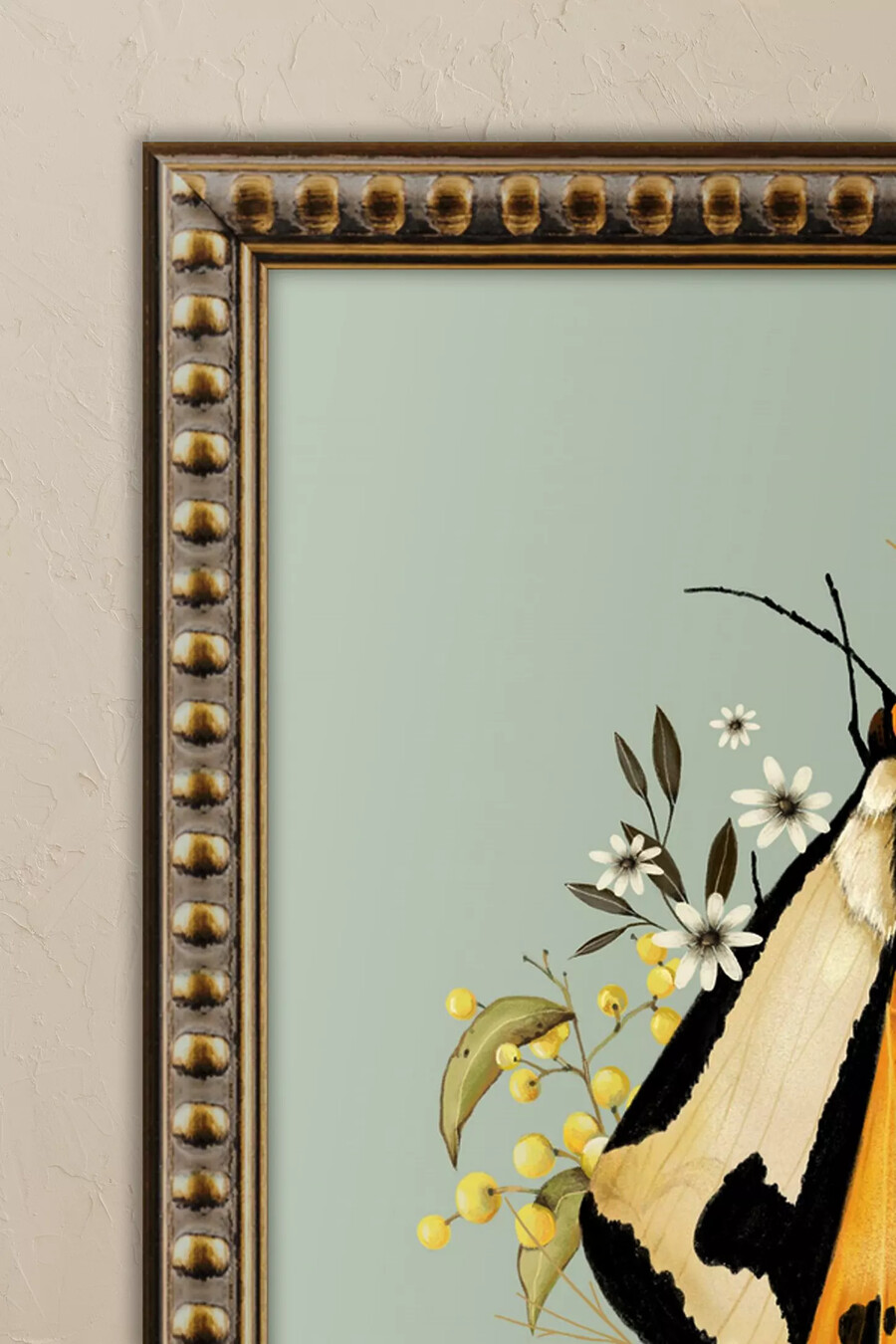 polilla y bayas de nicola evans arte de pared enmarcado